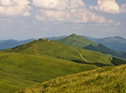 Atak niedźwiedzia. Agresywne zwierzę zaatakowało GOPR-owców