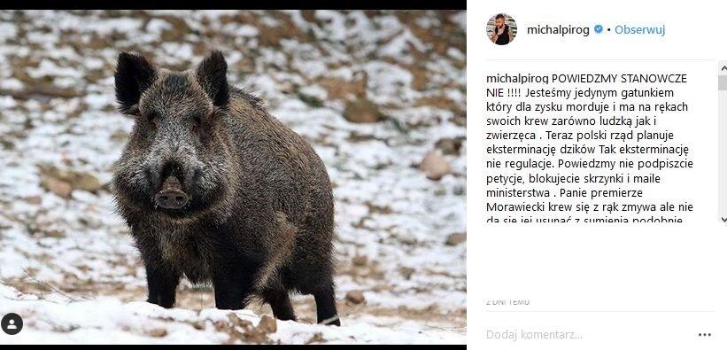 Michał Piróg w obronie dzików