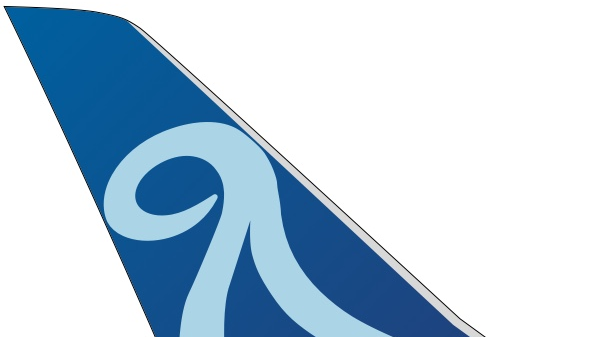 Norse Atlantic Airways'in Los Angeles Uçuşları İptal Edildi