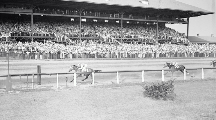 32 o Seabiscuit -GettyImages (3)