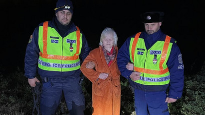 Rendőrkutya segített megtalálni az elkóborolt idős asszonyt Gödöllőn