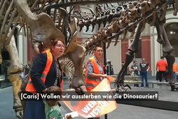 Aktywistki klimatyczne przykleiły się w niedzielę do barierki wokół szkieletu dinozaura w berlińskim Muzeum Historii Naturalnej