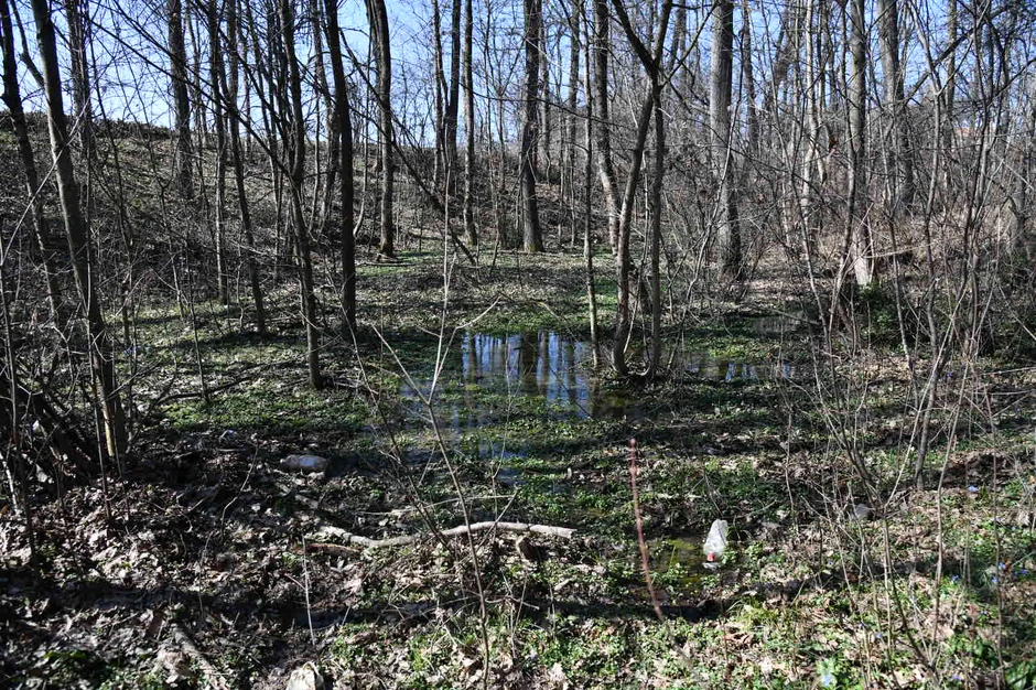 Lokacija na kojoj je pronađena Dunja Marković