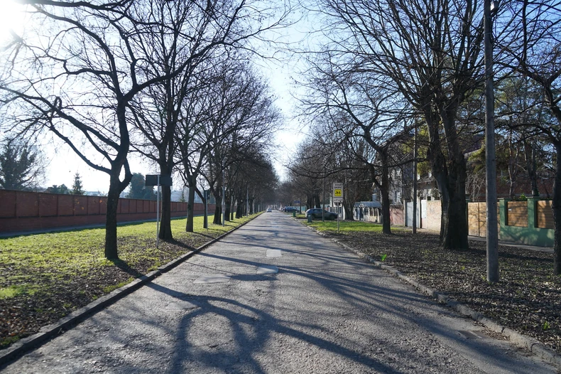 Ulica Vojvode Knićanina