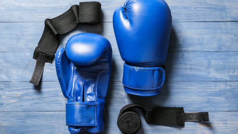 Beliebte Boxhandschuhe im Vergleich