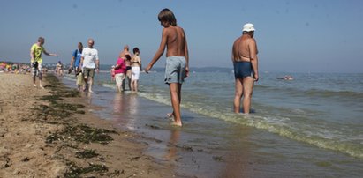 Bałtyk zmienił się w zieloną breję. Plażowicze załamani