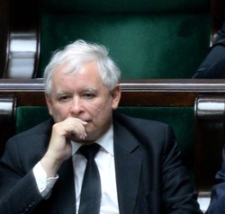 Prezes PiS wygrał proces. Palikot przeprosi go za Stalina, ale nie za wilka....