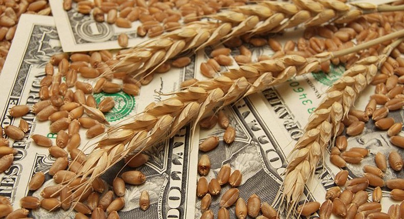 Africa's wheat import bill hits $20 billion annually