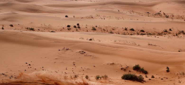 Rajd Dakar. Przygoński 6., Giemza 15. na piątym etapie