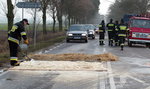 Uwaga! Chrońcie dzieci! GIS ostrzega przed groźną chorobą