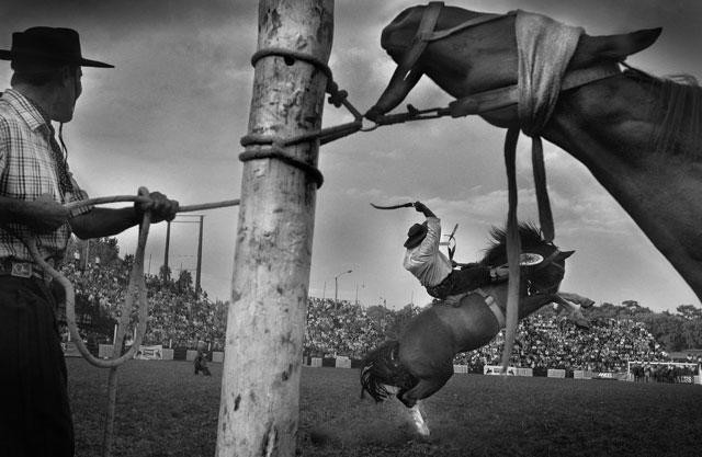 Galeria Zwycięzcy Wielkiego Konkursu Fotograficznego National Geographic, obrazek 2