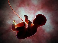 Dzieci narażone na COVID-19 w życiu płodowym wykazują zaburzenia neurorozwojowe