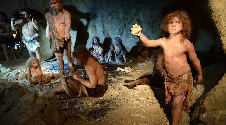 Amikor a vadász prédává válik: vélhetőleg éghajlati ingadozás kényszerítette rá a neandervölgyieket, hogy elfogyasszák társaikat / Kép: profimedia