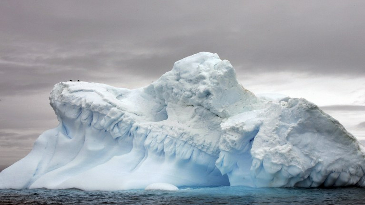 Meteoryt ważący 18 kg, tkwiący w lodowcu Antarktydy Wschodniej - największy, jaki odkryto w tym regionie od ćwierćwiecza - znaleźli naukowcy ze stacji polarnej Princess Elisabeth Antarctica.