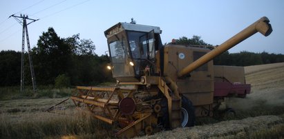 Polscy rolnicy naciągają Unię Europejską na kasę