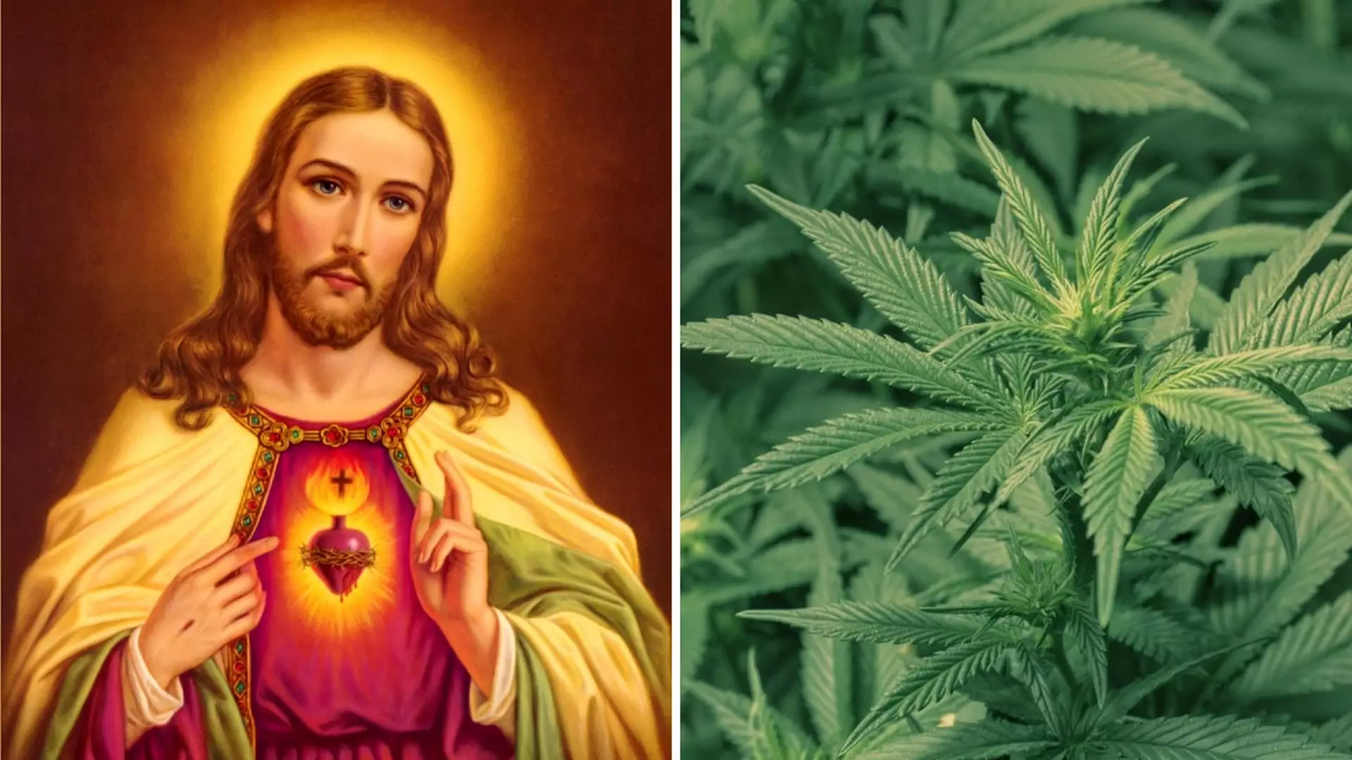 Jezus dokonywał "cudów" dzięki marihuanie? Tak twierdzą historycy