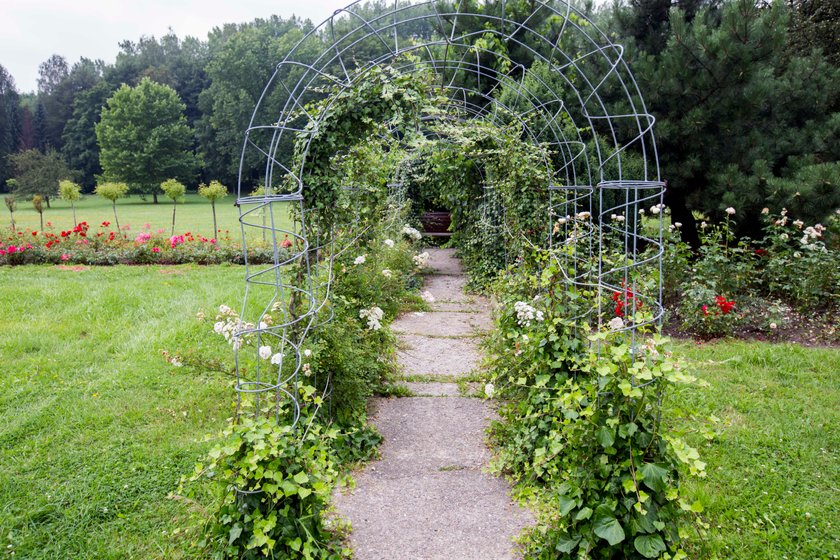 Rosarium w Parku Śląskim