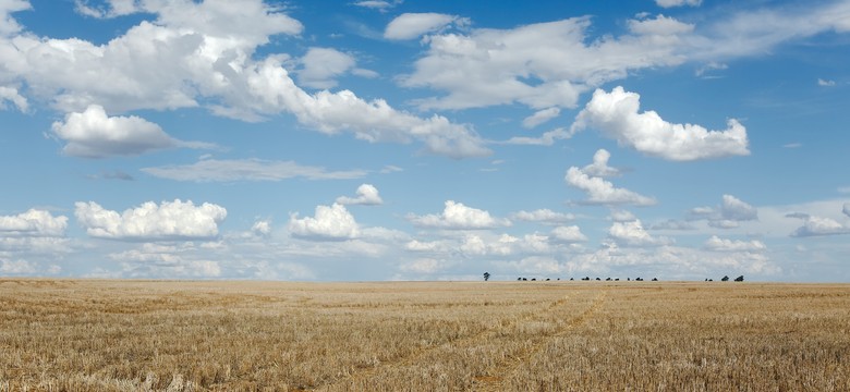 Degradacja gleby i groźba katastrofy żywnościowej. Najnowszy raport IPCC