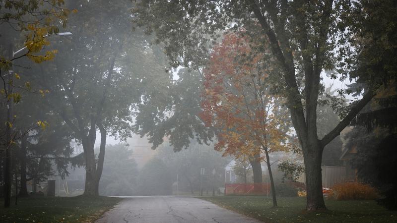  Újra támad a köd, jó lesz reggel figyelni az utakon / Illusztráció: Northfoto 