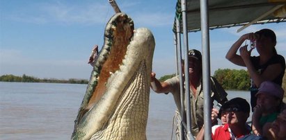 Krwiożerczy krokodyl pupilkiem turystów. FOTO