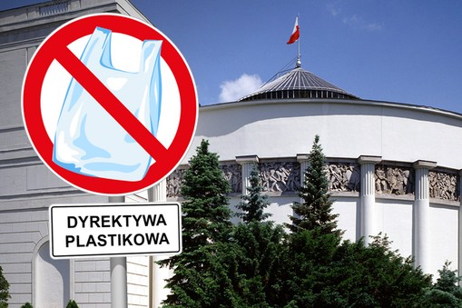 Sejm plastik