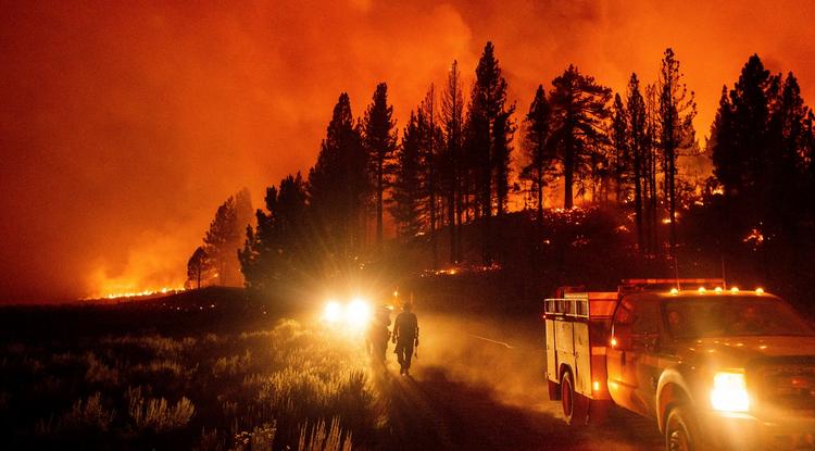 Erdőtűz lángjai pusztítanak a kaliforniai Plumas Nemzeti Erdőben 2021. július 8-án