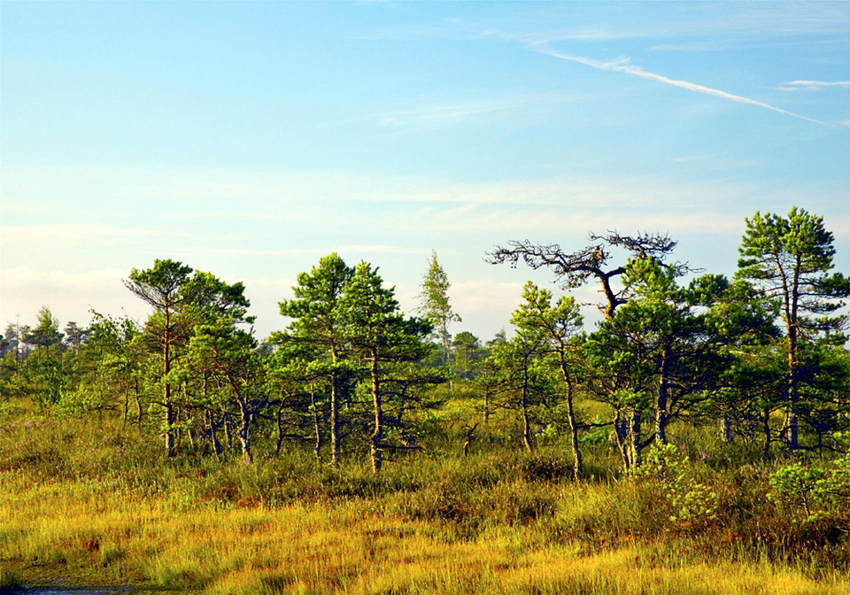 Łotwa - piękny kraj nad Bałtykiem