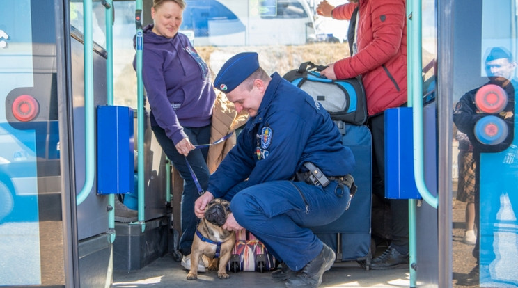 Folyamatos a menekültáradat Ukrajnából/Fotó:police.hu