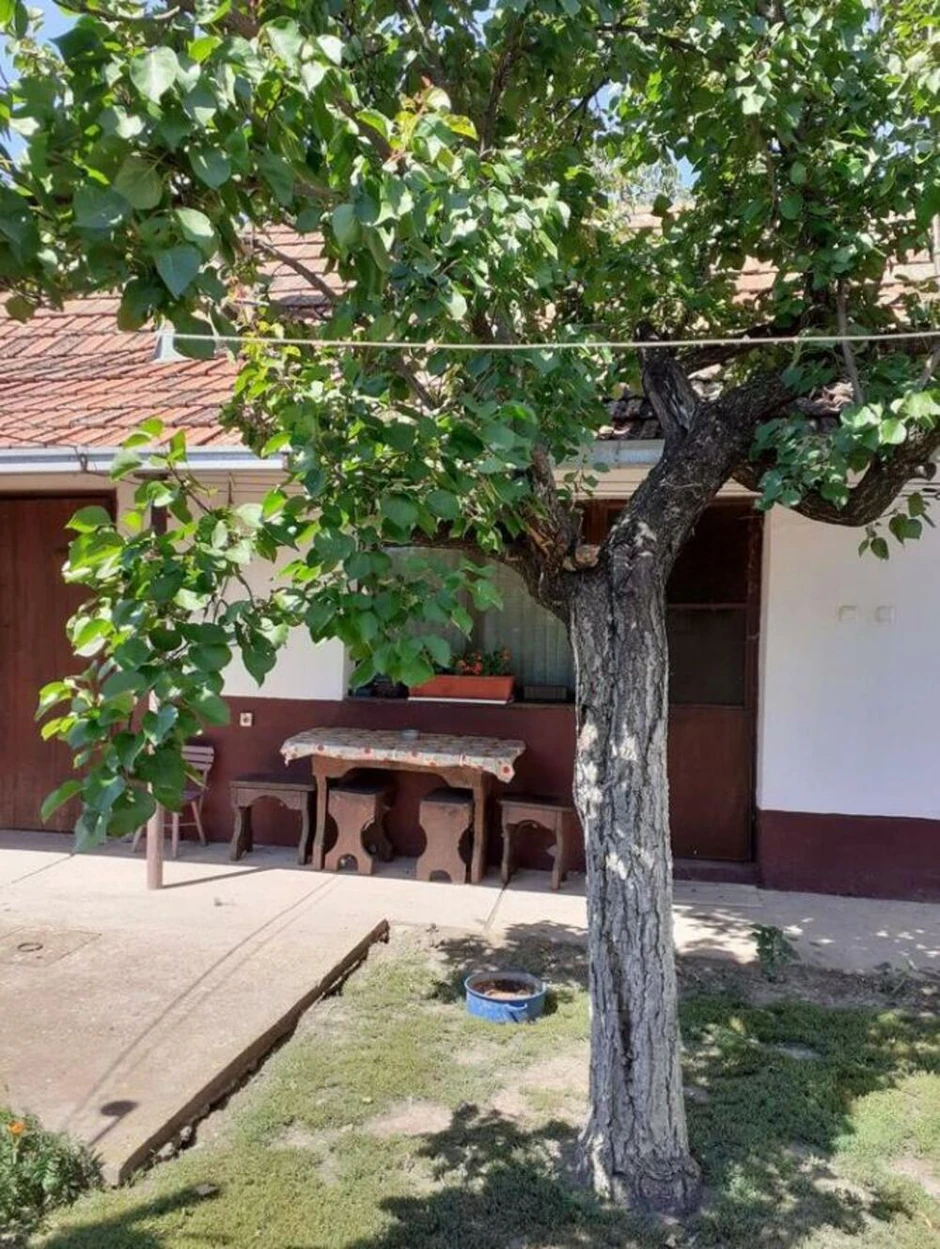 Prodaju kuću za 6.800 evra! Dušica objavila oglas i svaki detalj je poznat