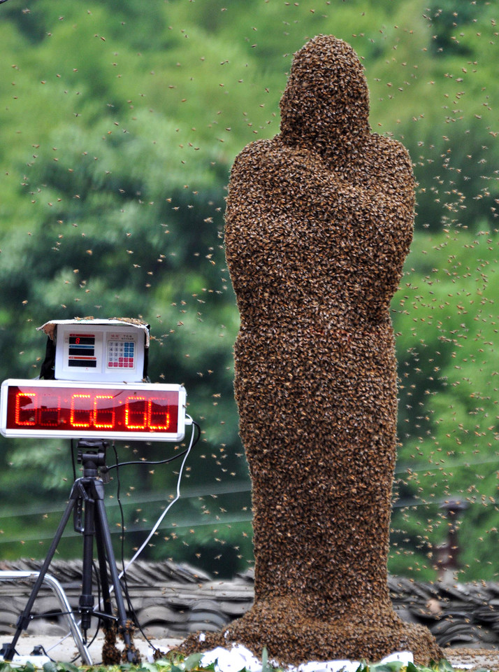 'Bee Bearding' Contest In Hunan
