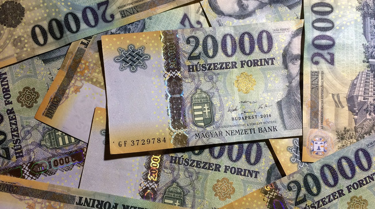 Rengeteg pénzt találtak Ferencvárosban egy fa tövében / Illusztráció: Pixabay