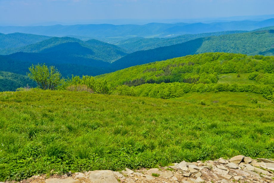 Bieszczady to jeden z najbardziej dzikich i tajemniczych zakątków Polski