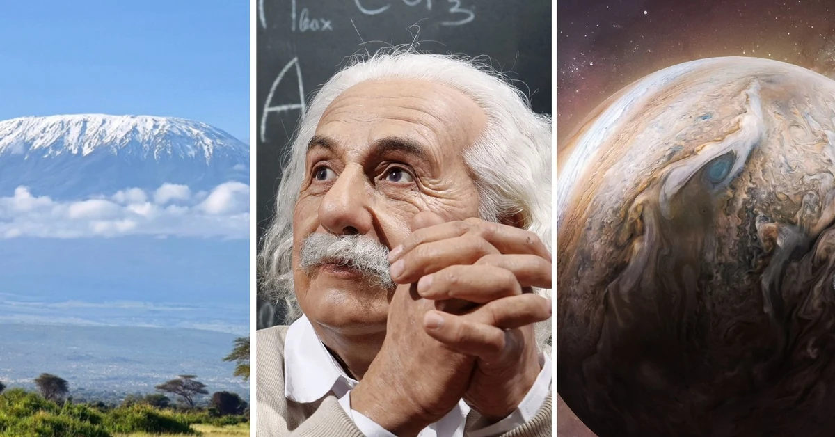 Quiz na inteligencję: Które zdanie jest prawdziwe? 10/15 to już wynik dla ponadprzeciętnych