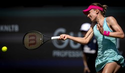 Dwie Rosjanki w finale turniej WTA w s'Hertogenbosch