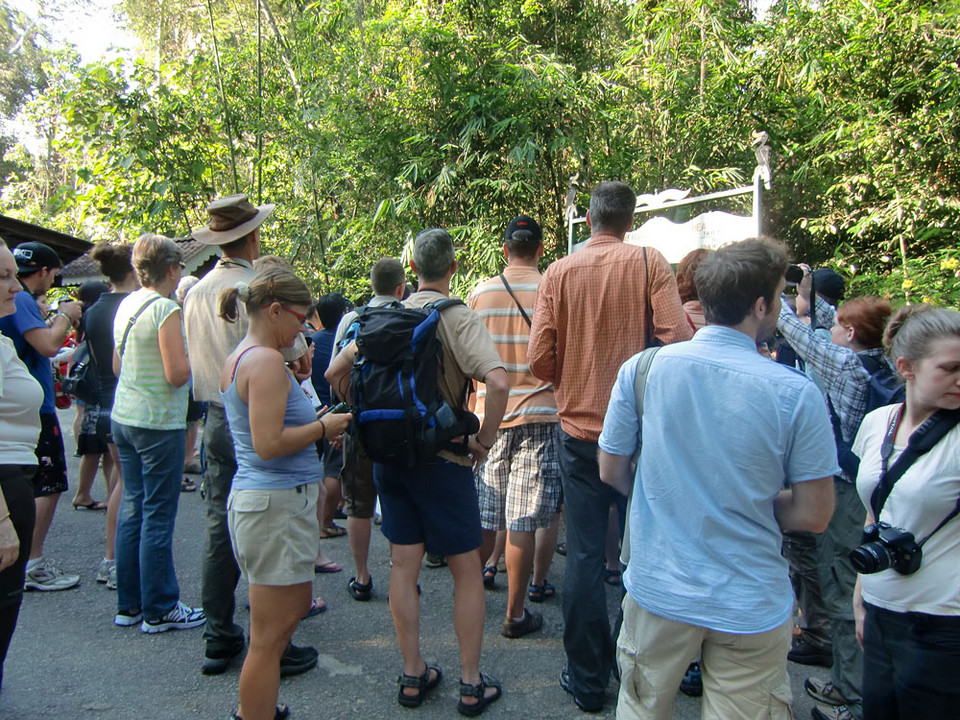 Borneo, Semenggoh Wildlife Centre