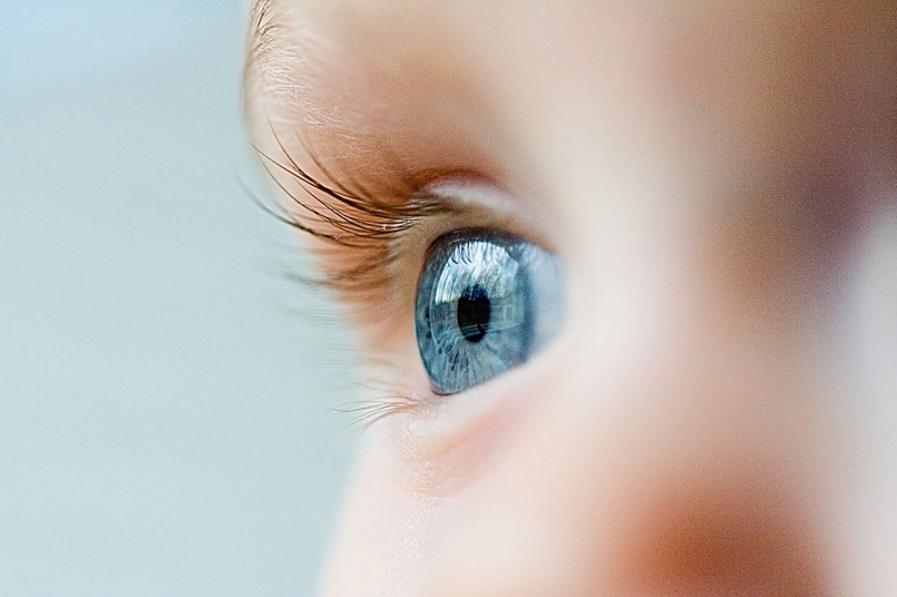 Bardzo możliwe, że już wkrótce katalog chorób, których wczesne wykrycie umożliwi badanie dna oka, poszerzy się o alzheimera i parkinsona