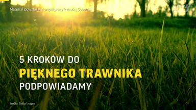 Pięć kroków do pięknego trawnika