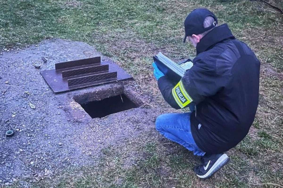 Utopił pięć psów w przydomowym szambie