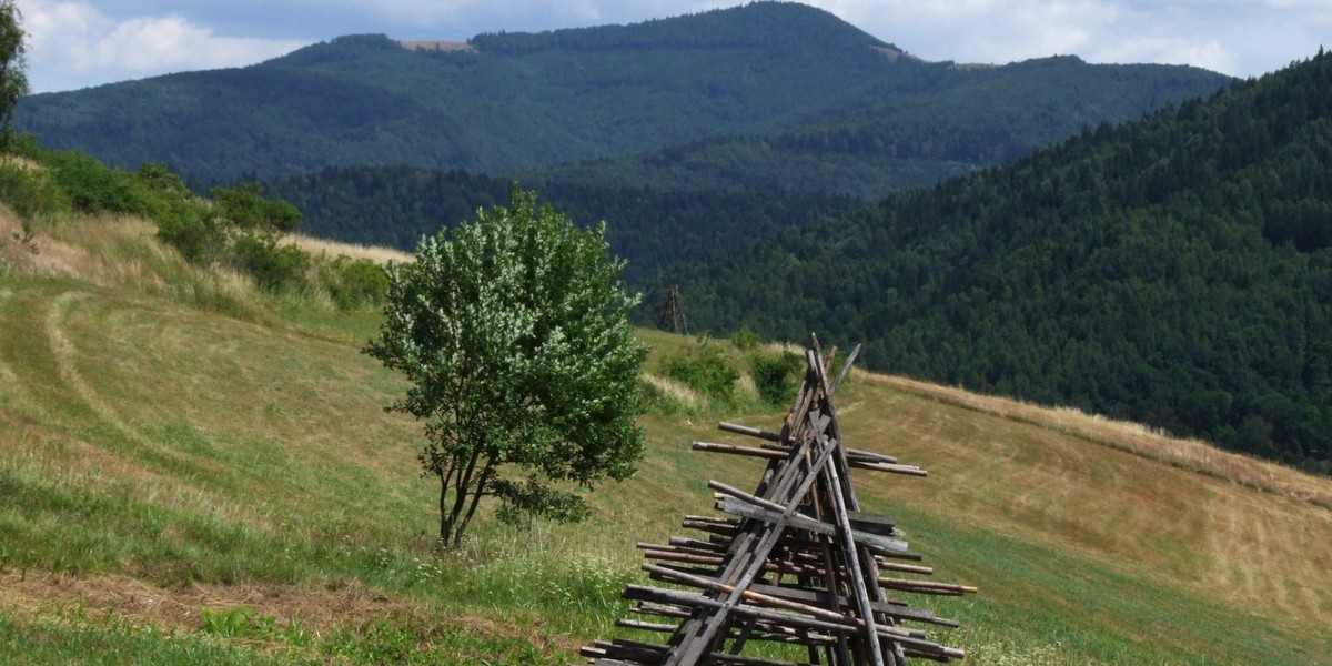 Turysta zmarł na Mogielnicy 