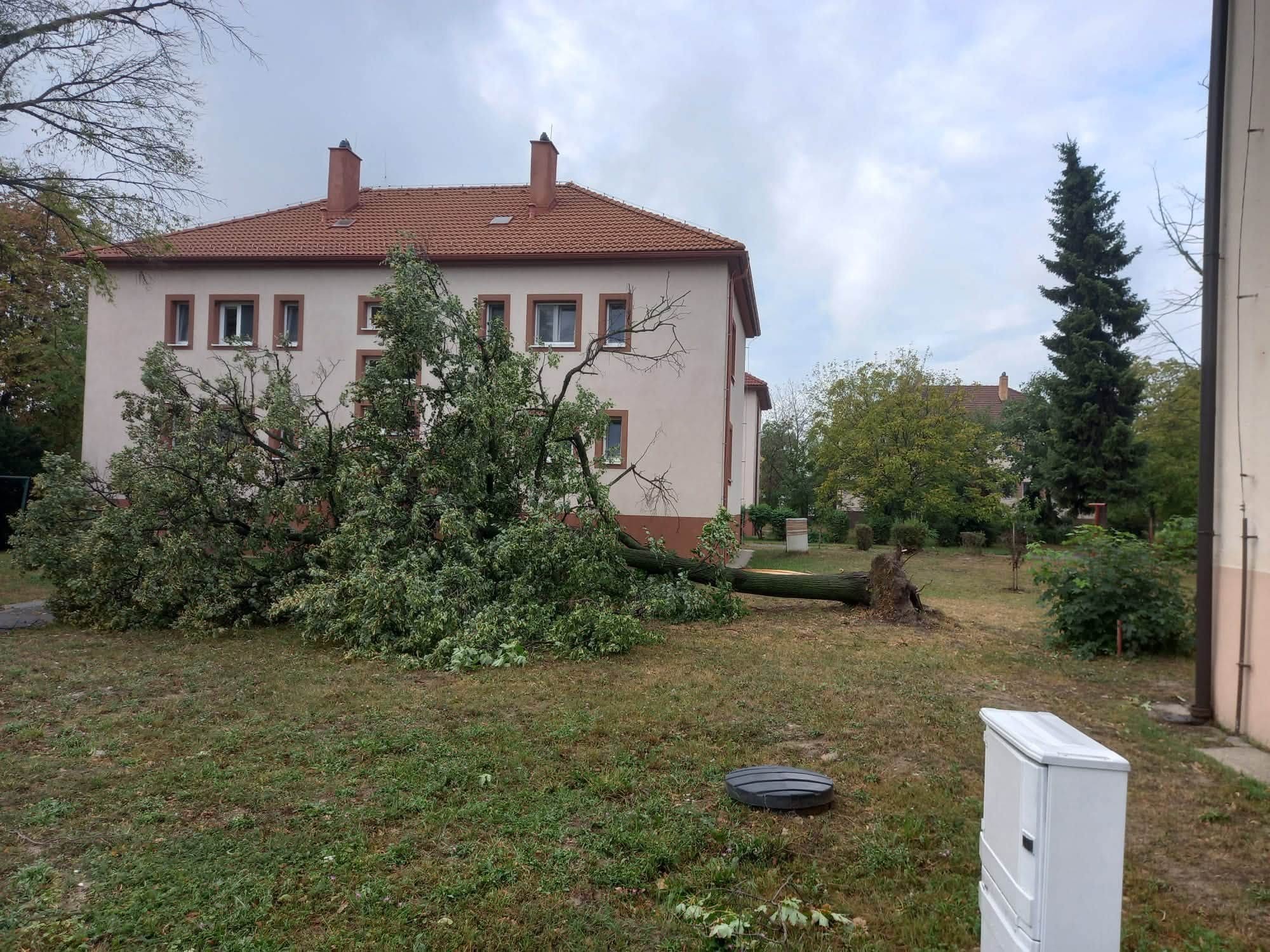 Búrka zasiahla celý Ružinov.