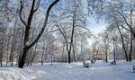 Nareszcie prawdziwa zima! Śnieg zasypał Polskę