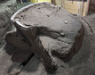 Rydwan znaleziony w Pompejach