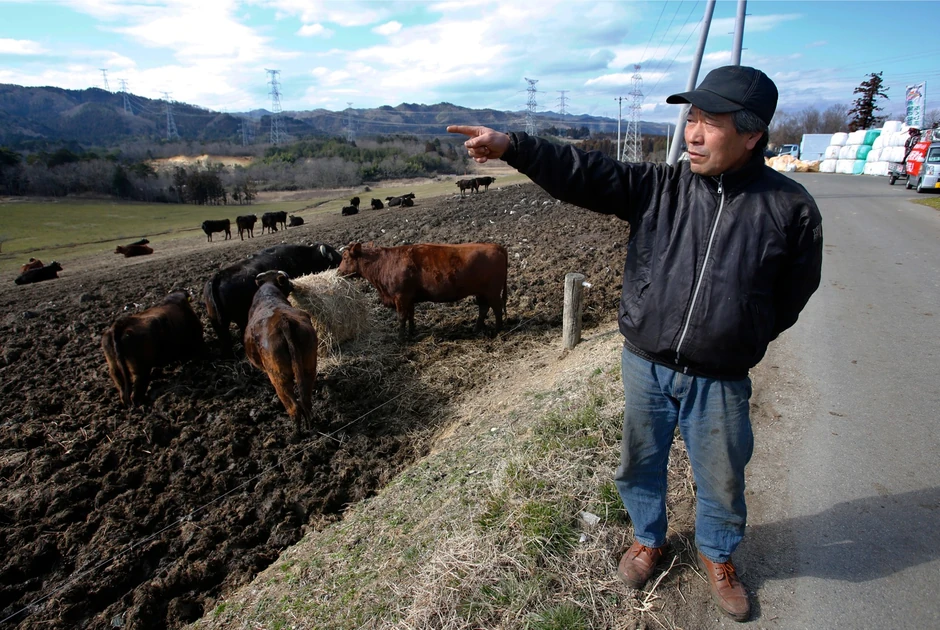 Krave iz zone isključenja