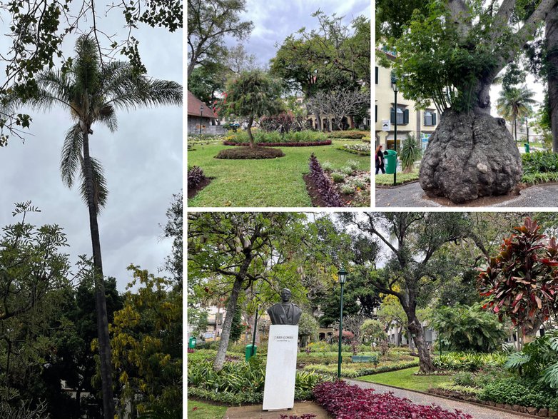 Jardim Municipal do Funchal - Ogród Miejski w Funchal