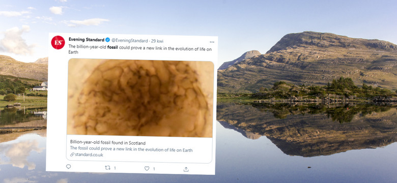 Niezwykłe odkrycie w Szkocji. Skamielina sprzed miliarda lat