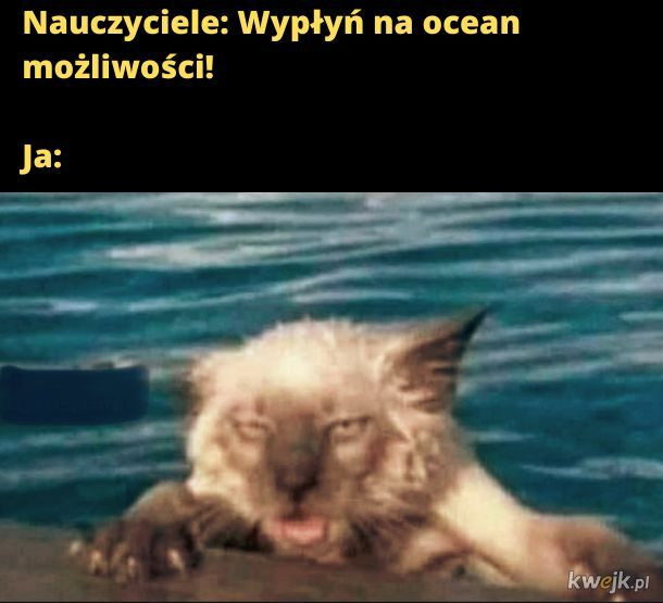 Dzień Nauczyciela. Oto najlepsze memy