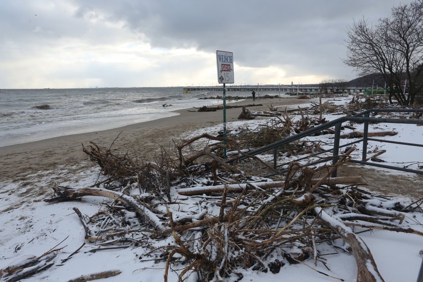 Makabryczne odkrycie na plaży w Gdyni. Spacerowicze natknęli się na zwłoki