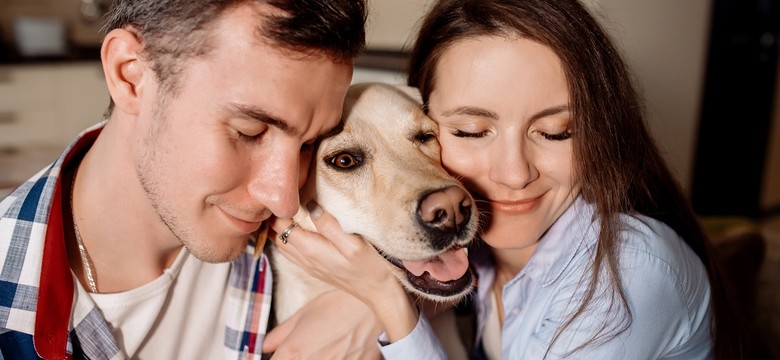 Wielki quiz o psach na piątek. 10/10 zdobędą najwięksi wielbiciele czworonogów