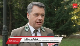 Drewno to materiał ekologiczny i odnawialny