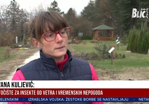 Hotel za insekte Kragujevac